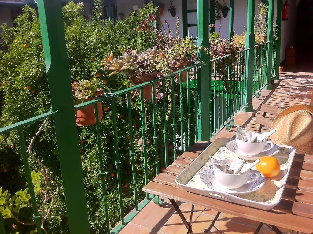 Apartment Tradicional Oasis Sevillano Spain