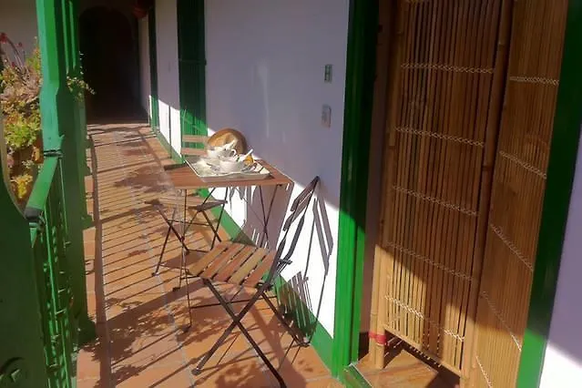 Apartment Tradicional Oasis Sevillano Spain
