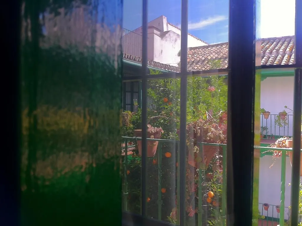 Apartment Tradicional Oasis Sevillano